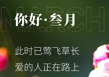 2024二月再见三月你好心情说说 三月请对我好点心情说说 2024二月再见三月你好心情说说 三月请对我好点心情说说