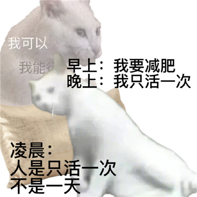 令人大笑的憨憨表情合集 聊天会多超多开心的表情大全