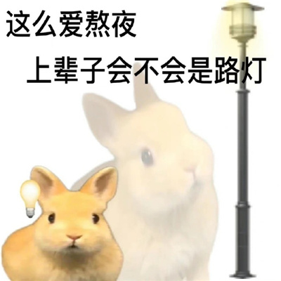 失眠的微信表情大全 这么爱熬夜上辈子会不会是路灯