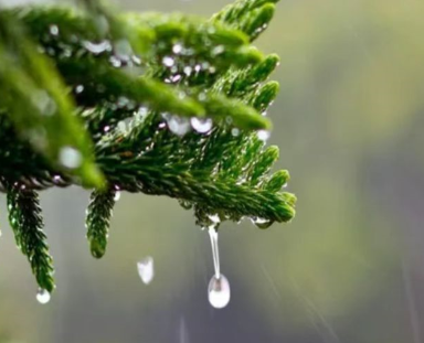 适合下雨天发朋友圈的优美短句 雨天静谧的朋友圈文案