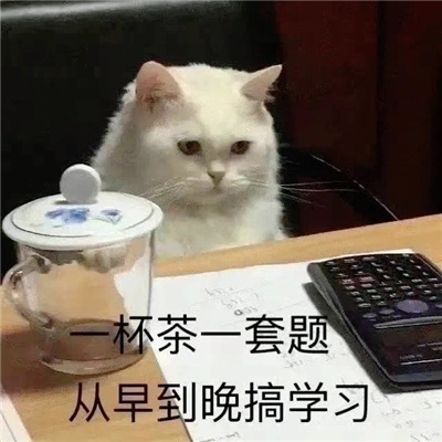 有趣又好玩的沙雕表情 日常很好笑的有趣表情合集