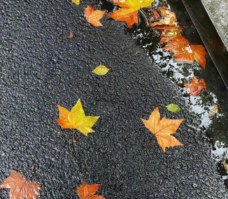 骨灰级的be美学语录 一眼破防的爱情语录 骨灰级的be美学语录 一眼破防的爱情语录