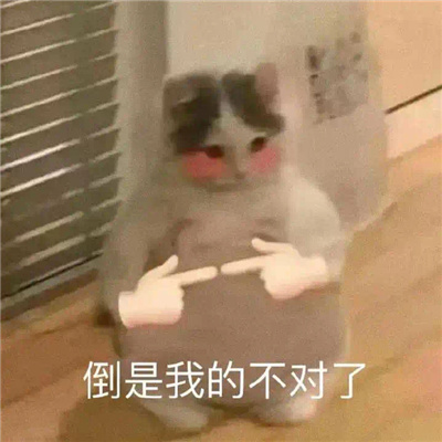 斗图聊天表情无水印套路 热门聊天套路表情合集