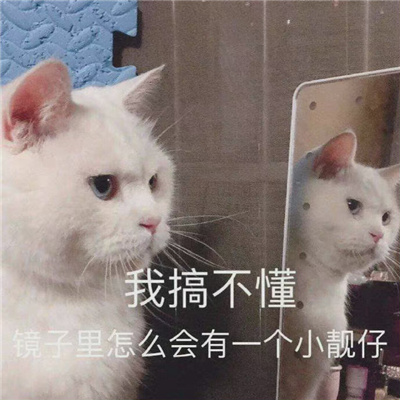 快乐聊天的特别表情高情商 我搞不懂镜子里怎么会有个小靓仔