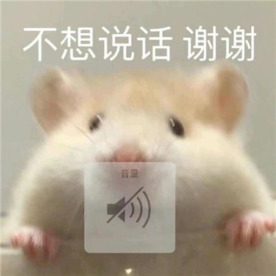 网络热梗开心热门的表情 网络流行表情很火热