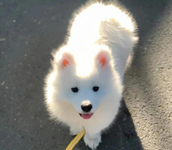 感叹入错行的句子 感叹人生选择错了的句子 感叹入错行的句子 感叹人生选择错了的句子