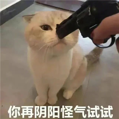 故意气人的话很幽默的表情 幽默气人的表情大全