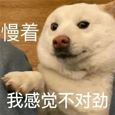 好笑又出众的表情大全 所以表情包永远存不够