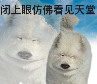 每天不想上班月月拿满勤的说说 日日想辞职月月拿全勤说说 每天不想上班月月拿满勤的说说 日日想辞职月月拿全勤说说