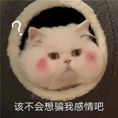005Qblgkgy1ho80ejhkw5j30j60j5my6.jpg