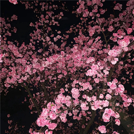 有点爱的小众微信背景图 个性突出的魅力配图