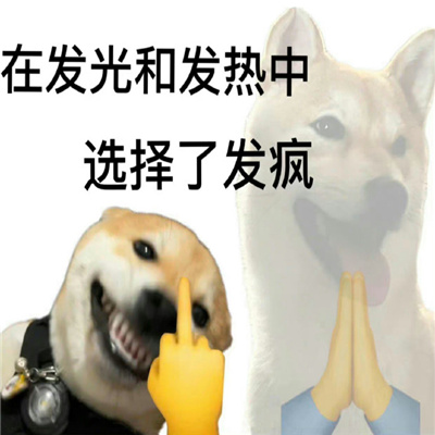 006WYq6ngy1hg18kylepkj30yi0szaee.jpg