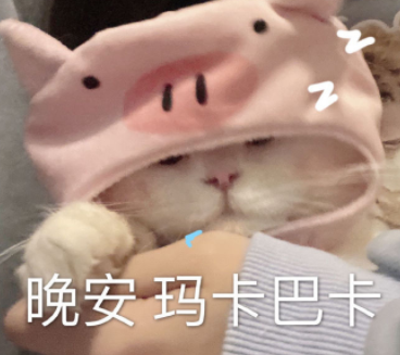 令人眼前一亮的搞笑朋友圈文案 可爱至极的搞怪语录 令人眼前一亮的搞笑朋友圈文案 可爱至极的搞怪语录