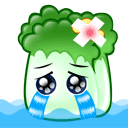 蔬菜小人4