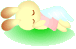 小兔子5