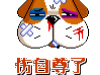 QQ1930最新收集QQ搞笑表情
