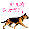 QQ1930最新收集QQ搞笑表情