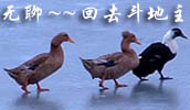 QQ1930最新收集QQ搞笑表情