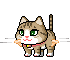 狂晕