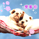 可爱动物表情