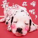 可爱动物表情