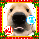 可爱动物表情