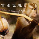 QQ搞笑表情